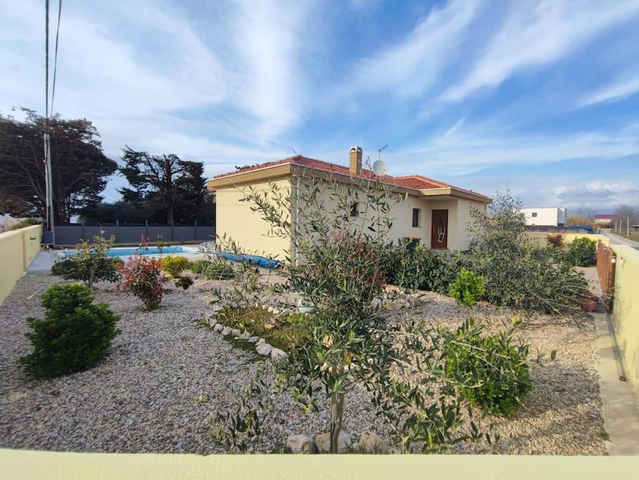 Villa Mattina, With Heated Pool And Jacuzzi بريفلاكا المظهر الخارجي الصورة